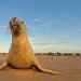 Seal 151109
